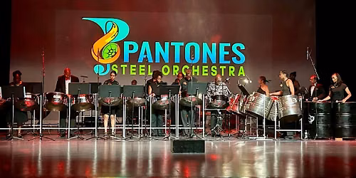 Steelpan Basics Workshop | Cultural Academy for Excellence