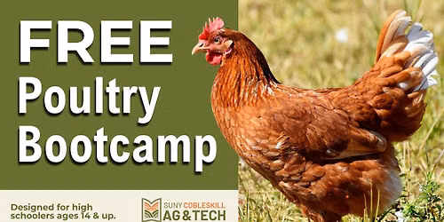 FREE Poultry Bootcamp