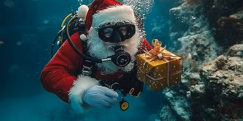 Waiheke dive day followed by Christmas bbq on mainland