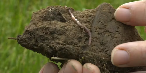 Cin\u00e9-d\u00e9bat : projection du film ZUT Zone urgente \u00e0 transformer