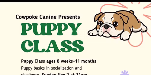 Puppy Training Classes
