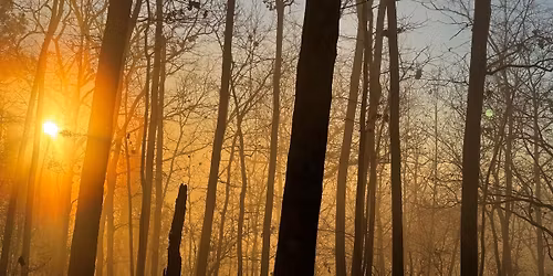 Morning on the Mountain