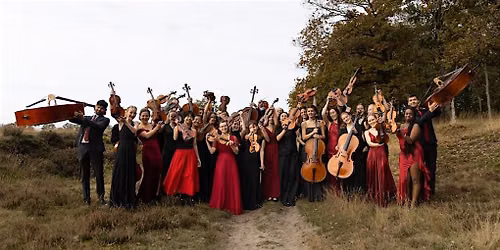 FREE CONCERT Haydn Youth String Orchestra in Windsor