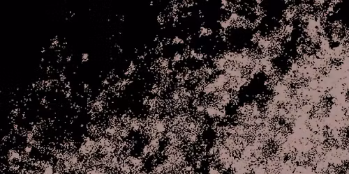 Passion Pit in Denver