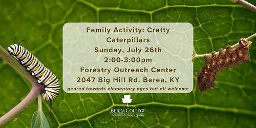 Family Activity: Crafty Caterpillars