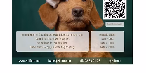 Julefotografering og valpekveld!\ud83c\udf84\ud83d\udc36