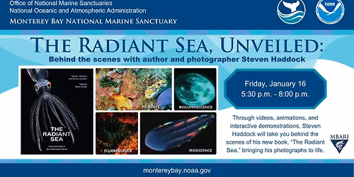 The Radiant Sea, Unveiled: co-author and photographer, Steven Haddock