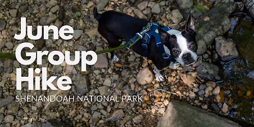 #TravelsWithOllie: June Group Hike