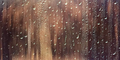 Meryl Stream in Le Mans