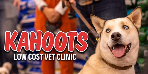 Vet Clinic at KAHOOTS Fallbrook