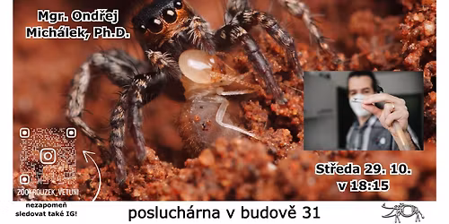 V\u00fdzkum pavou\u010d\u00edho jedu - potravn\u00ed specialist\u00e9 u pavouk\u016f