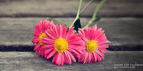 Holland Springs Community Garage Sale