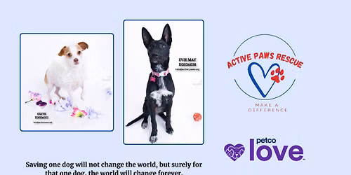 Petco - South Conroe Adoption Event