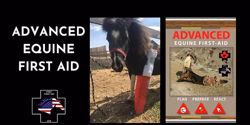 Advanced Equine First Aid
