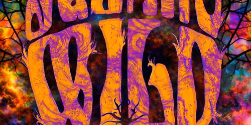 Square Wild | Edinburgh