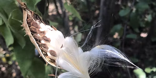 S'more Storytime: A Seed is Sleepy