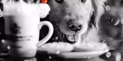 Breakfast with Brown Dog \ud83c\udf84