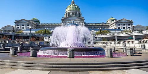 Turn the State Capitol Fountain PINK! 