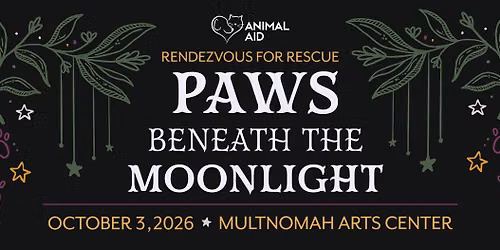Paws Beneath the Moonlight