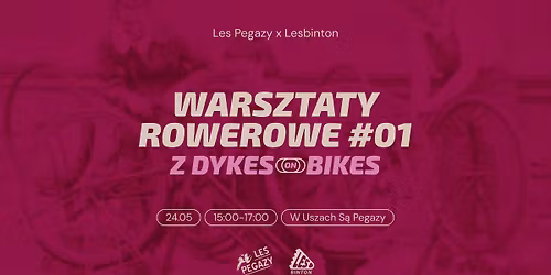 Warsztaty rowerowe #1 z Dykes on Bikes : wymiana d\u0119tki i klejenie \u0142atek 