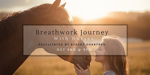 Breathwork with Horses