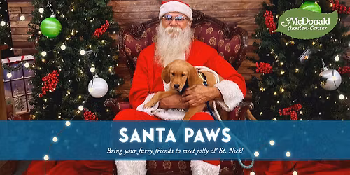 Santa Paws