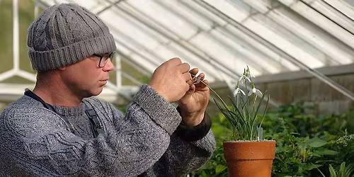 Talk & Tour with Tom Coward: Making the Most of the Garden in Winter