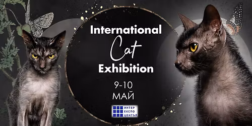 11 and 12 International Cat Show, Sofia, Bulgaria
