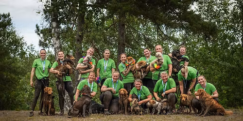 Hverdagslydighetstrening \u00c5rets siste