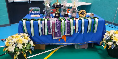 Akita association speciality championship and open dog show 2026