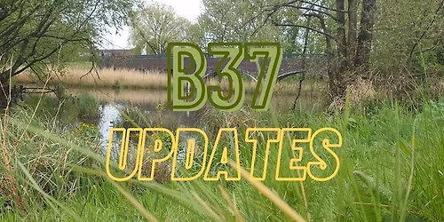 Yoga, Mindfulness Meditations and Sound Theraphy