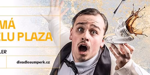 APARTM\u00c1 V HOTELU PLAZA