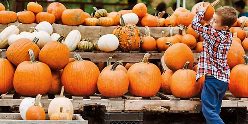 Family, Fall & Memories: Mini Photo Sessions