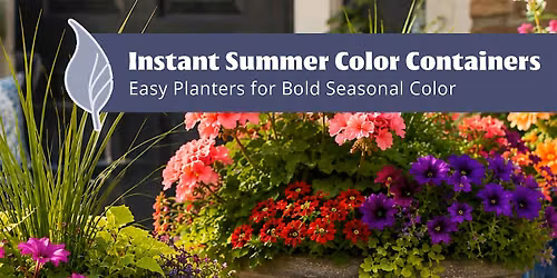 Instant Summer Color Containers:  Easy Planters for Bold Seasonal Color