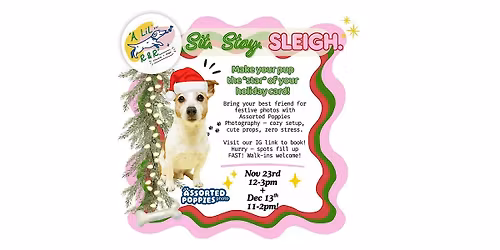 Holiday Pet Photo Sessions