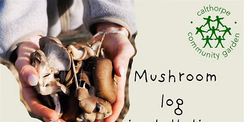 Mushroom Log Installation Workshop