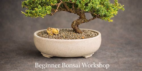 Beginner Bonsai Workshop