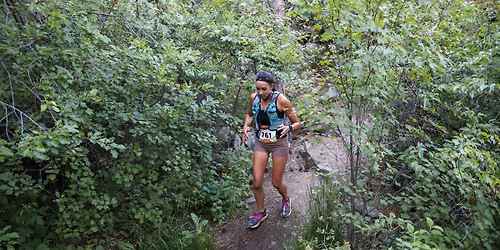 Lory Summer Trail Series - Into the Hills 10k