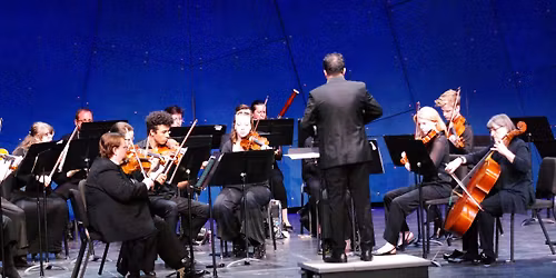 ECCO: Tale of Two Mozarts