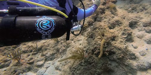 AVELO RAD - DEMA Lake Denton Training Days