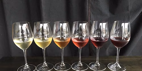 A Pride Night of Wine and Art: with Wine by Merrin and United Contemporary