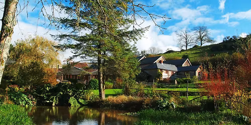 Discover North Devon's Hidden Wildlife Gems with Ed Drewitt  
