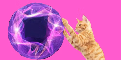 STRING THEORY- The science of reducing feline behavioral issues with play