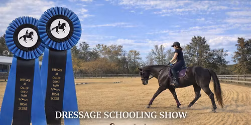 Dressage Schooling Show Fundraiser