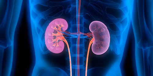 Chronic Kidney Disease