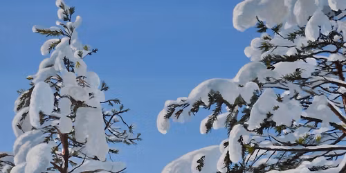 Painting Workshop in Helsinki