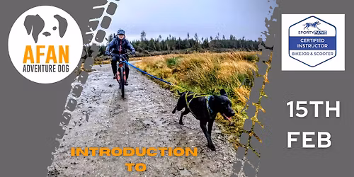 Introduction to Bikejoring and Scootering