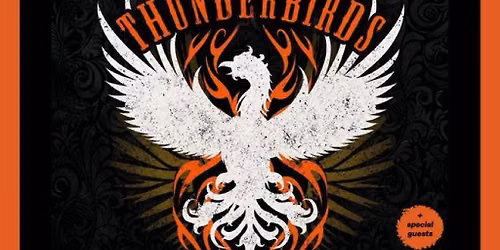 The Fabulous Thunderbirds