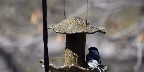 Bird Feeders & Open Studio Pottery Art Class