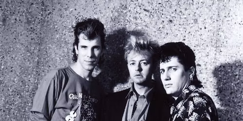 The Stray Cats